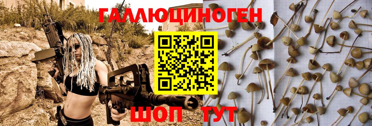 Псилоцибиновые грибы мицелий  Галлюциногенные грибы Cubensis  Ишимбай  Вход с VPN 